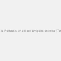 Bordetella Pertussis whole cell antigens extracts (Tohama 1)